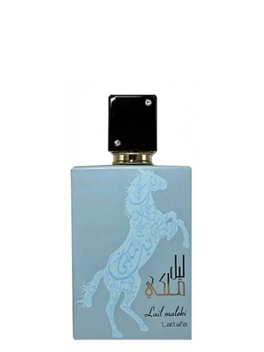 Парфюмерная вода Lail Maleki Moroccan Blue 100 мл - миниатюра 2