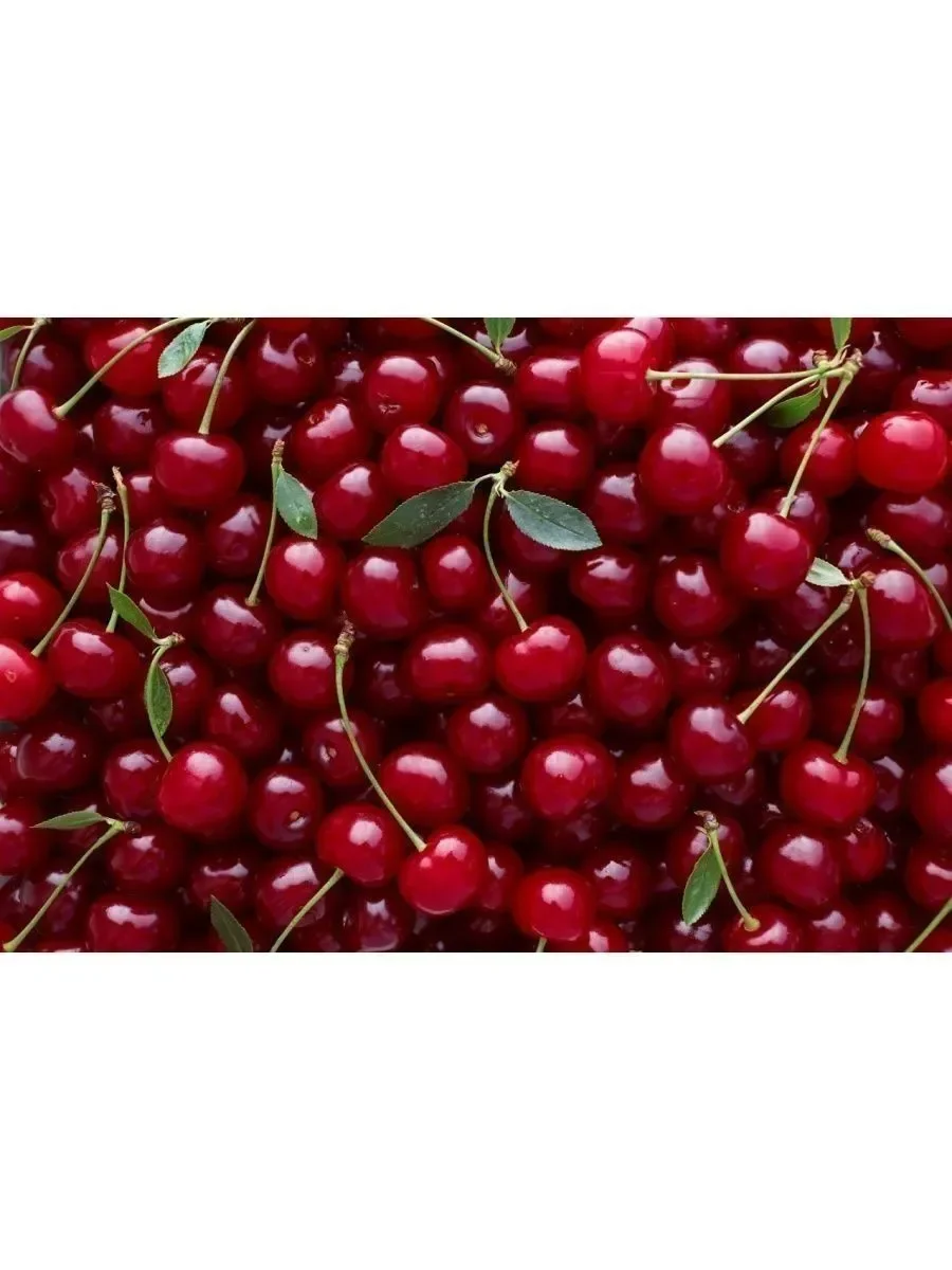 Духи Tom Ford lost cherry женские 100мл - миниатюра 2