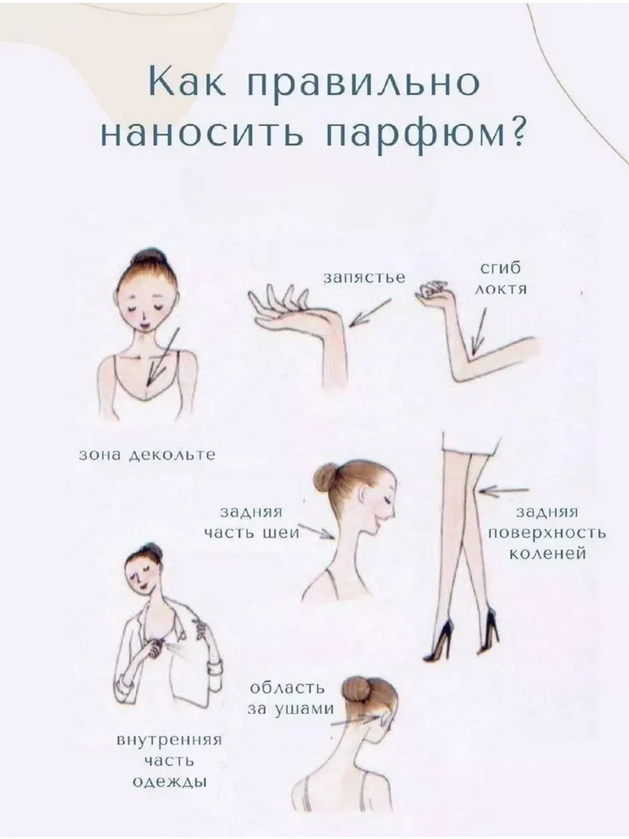 Ambre - миниатюра 2