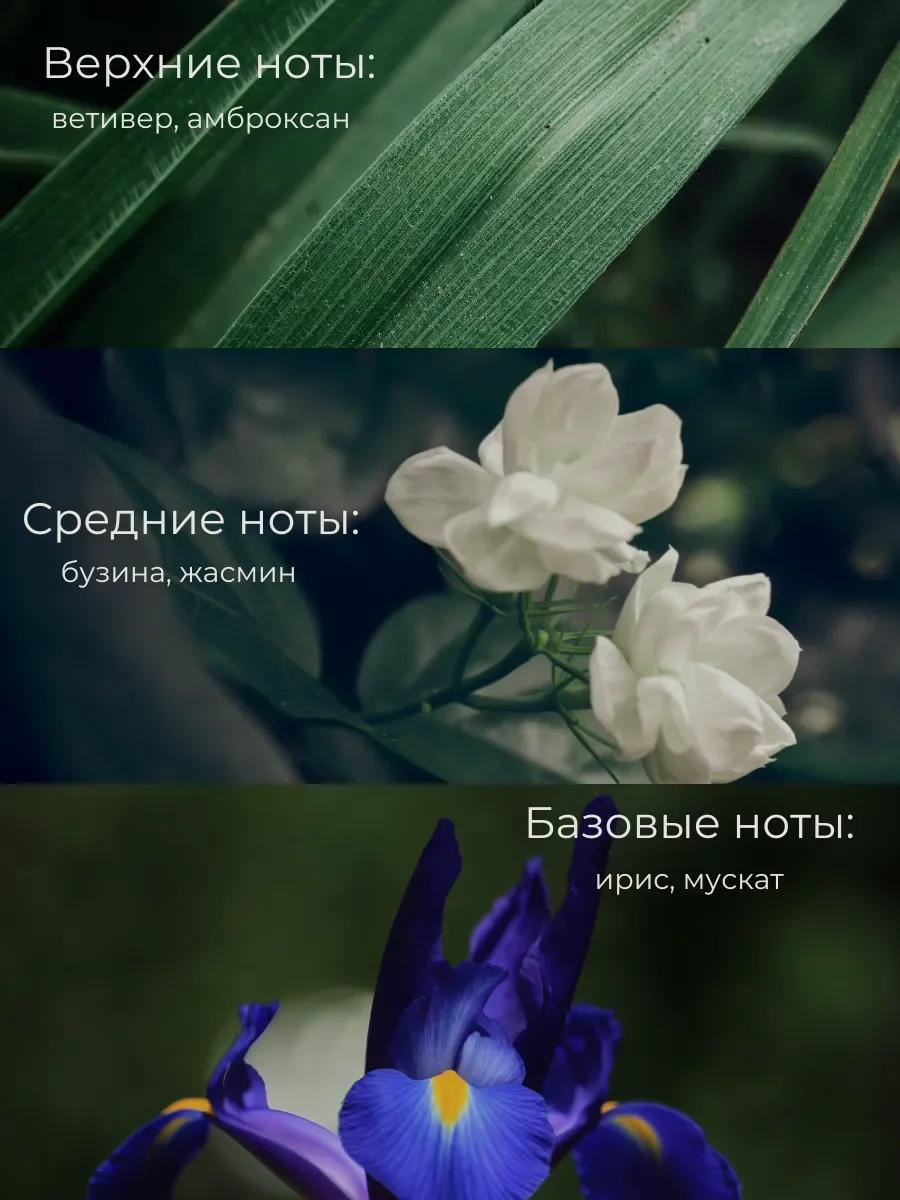 Духи унисекс арабские Molecule 02 - миниатюра 4