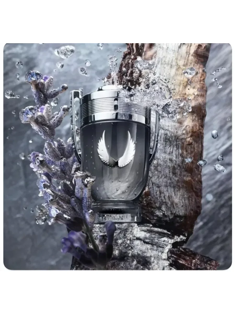 Invictus Platinum Rabanne - изображение 1