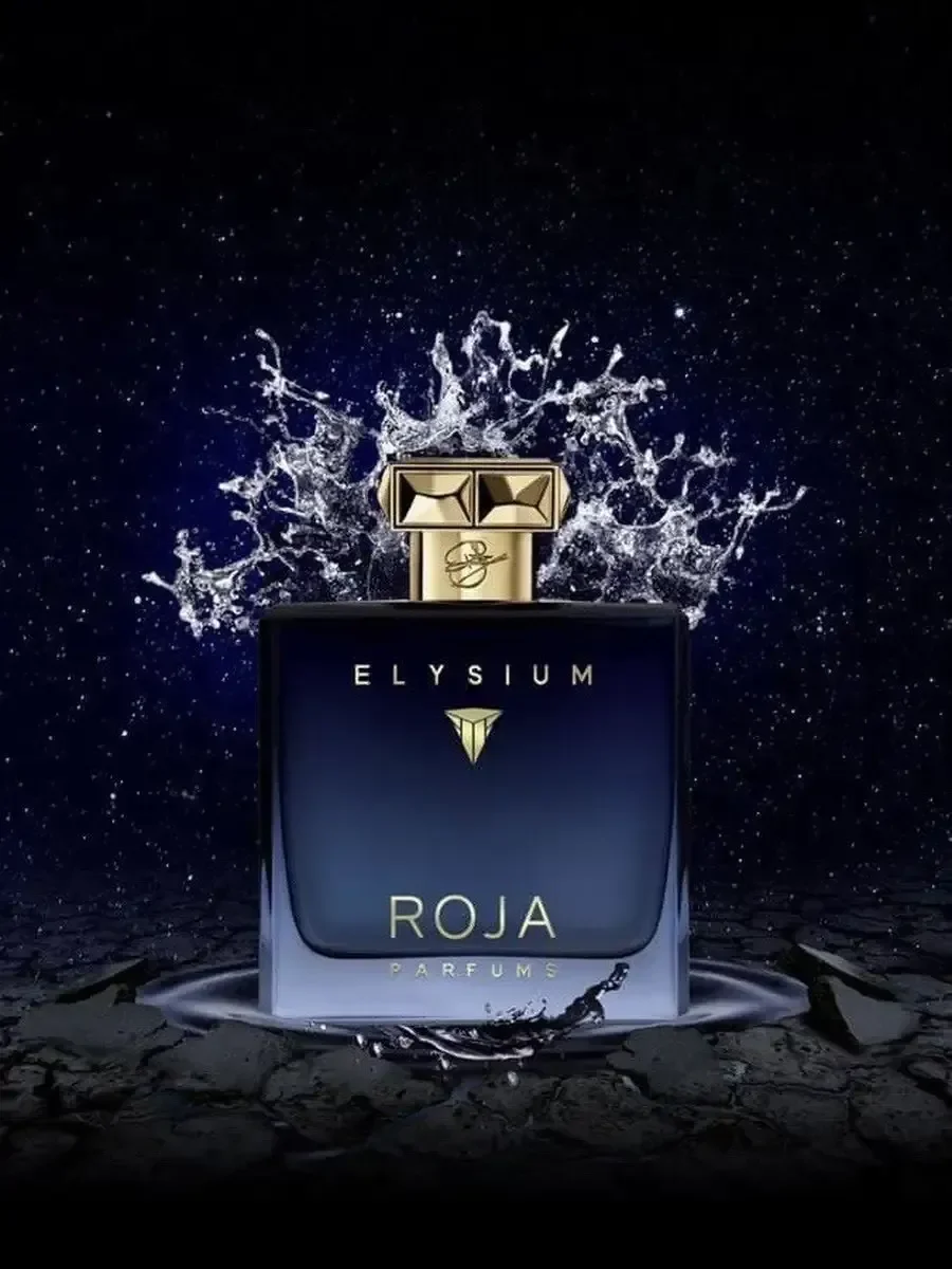 Духи Roja Elysium Pour Homme 100мл - миниатюра 13