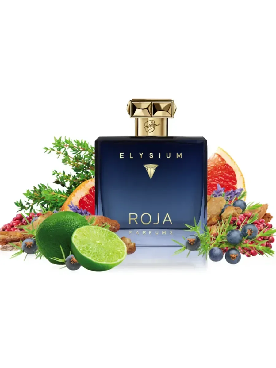 Духи Roja Elysium Pour Homme 100мл - миниатюра 8