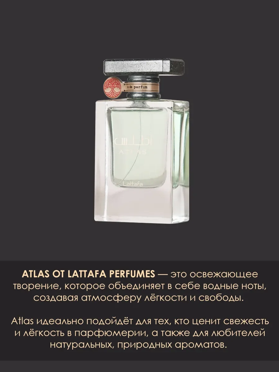 Арабские духи Atlas 55ml - миниатюра 7