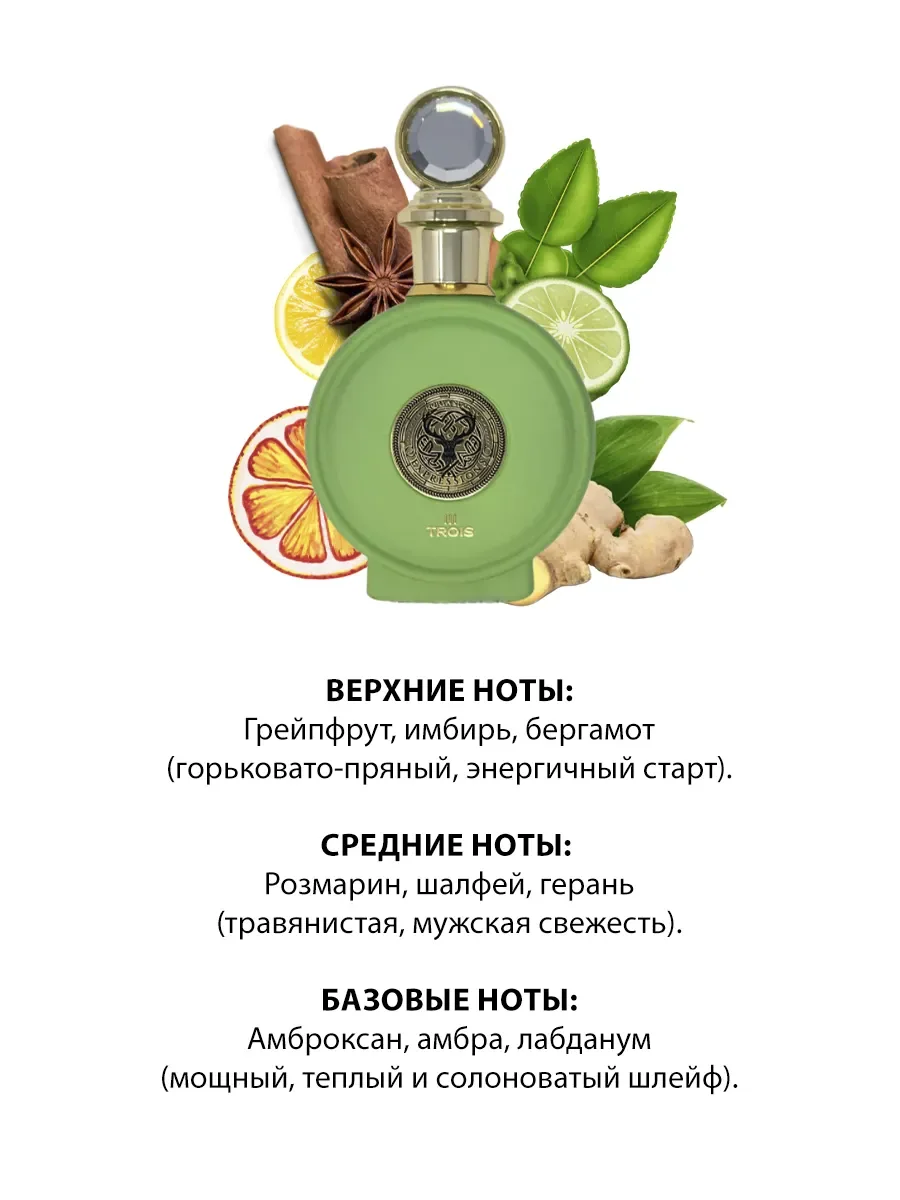 Арабские духи North Stag Expressions III Trois 100ml - миниатюра 3