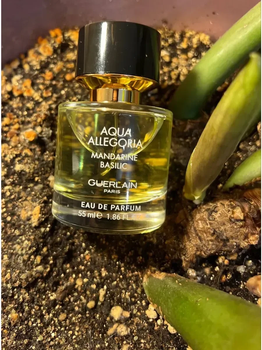 Guerlain Aqua allegoria mandarine basilic 55мл - миниатюра 2