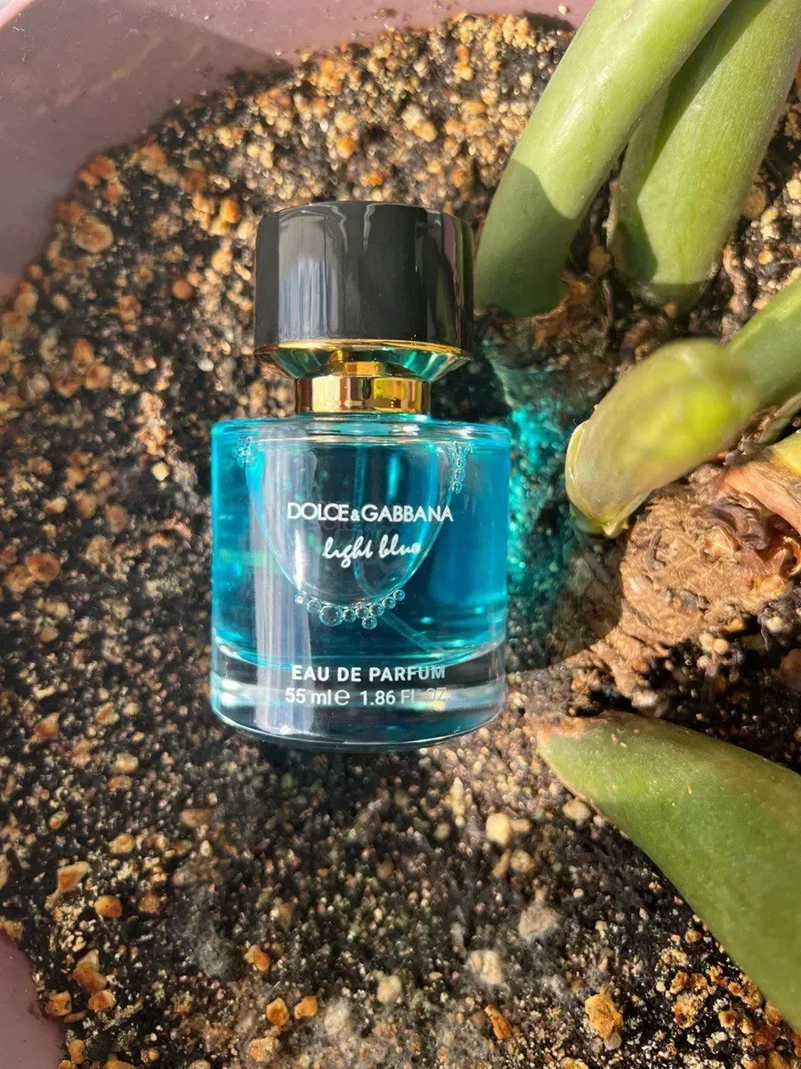 Духи Light Blue Dolce&Gabbana духи 55 мл - миниатюра 2