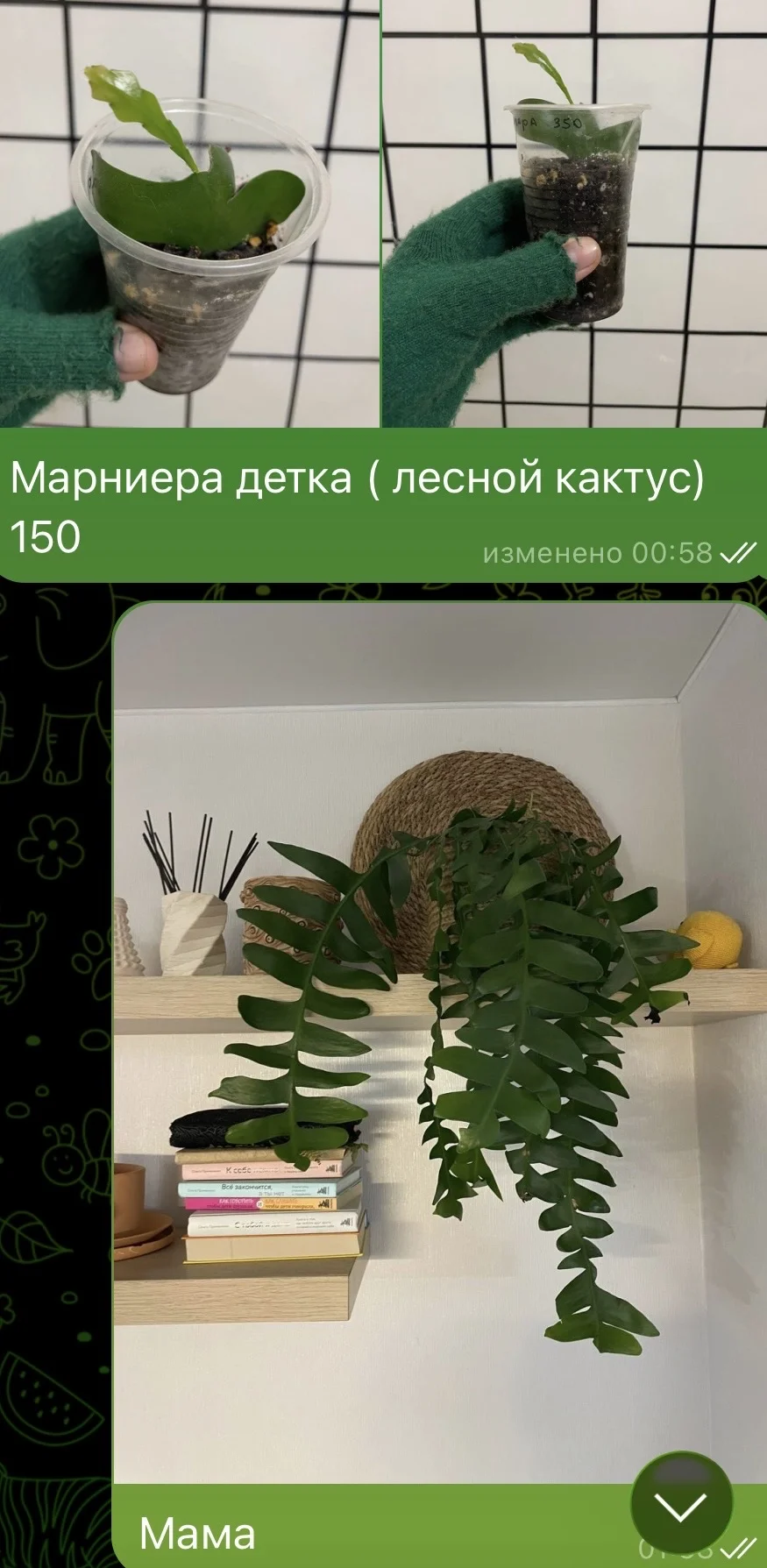 Марниера - изображение 1