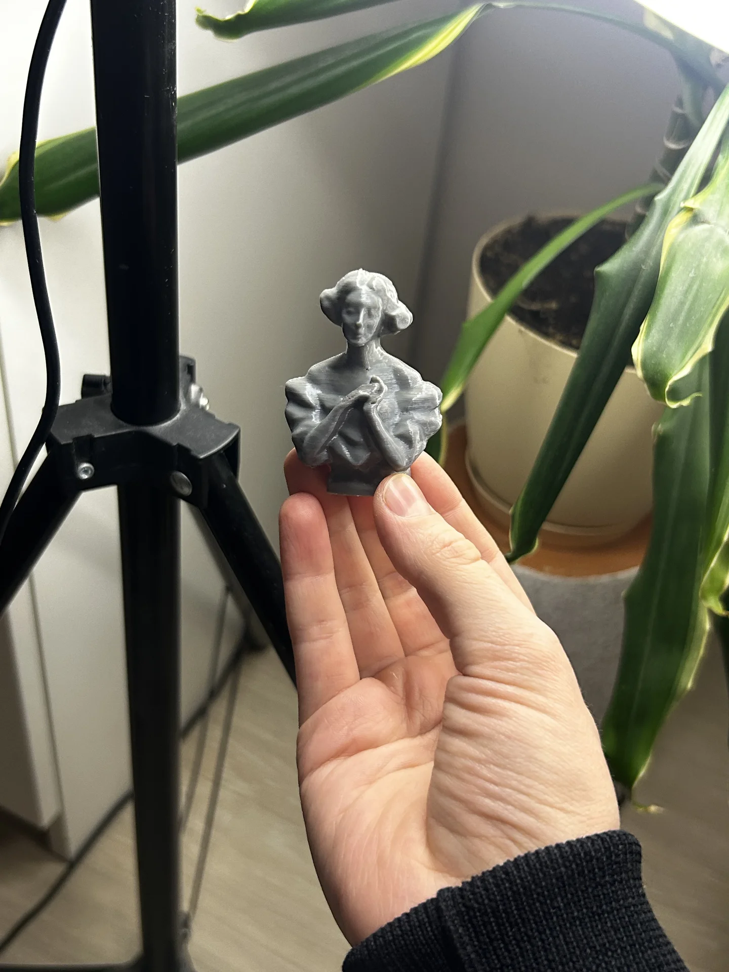 Художественная 3D печать - миниатюра 5