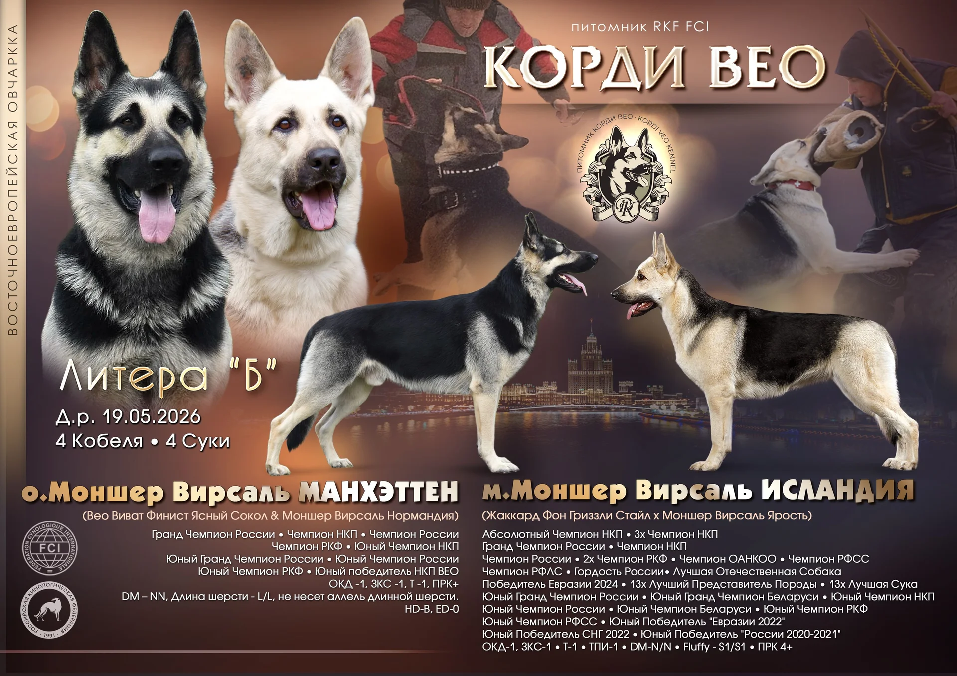 Щенки Восточно-Европейской овчарки - изображение 1