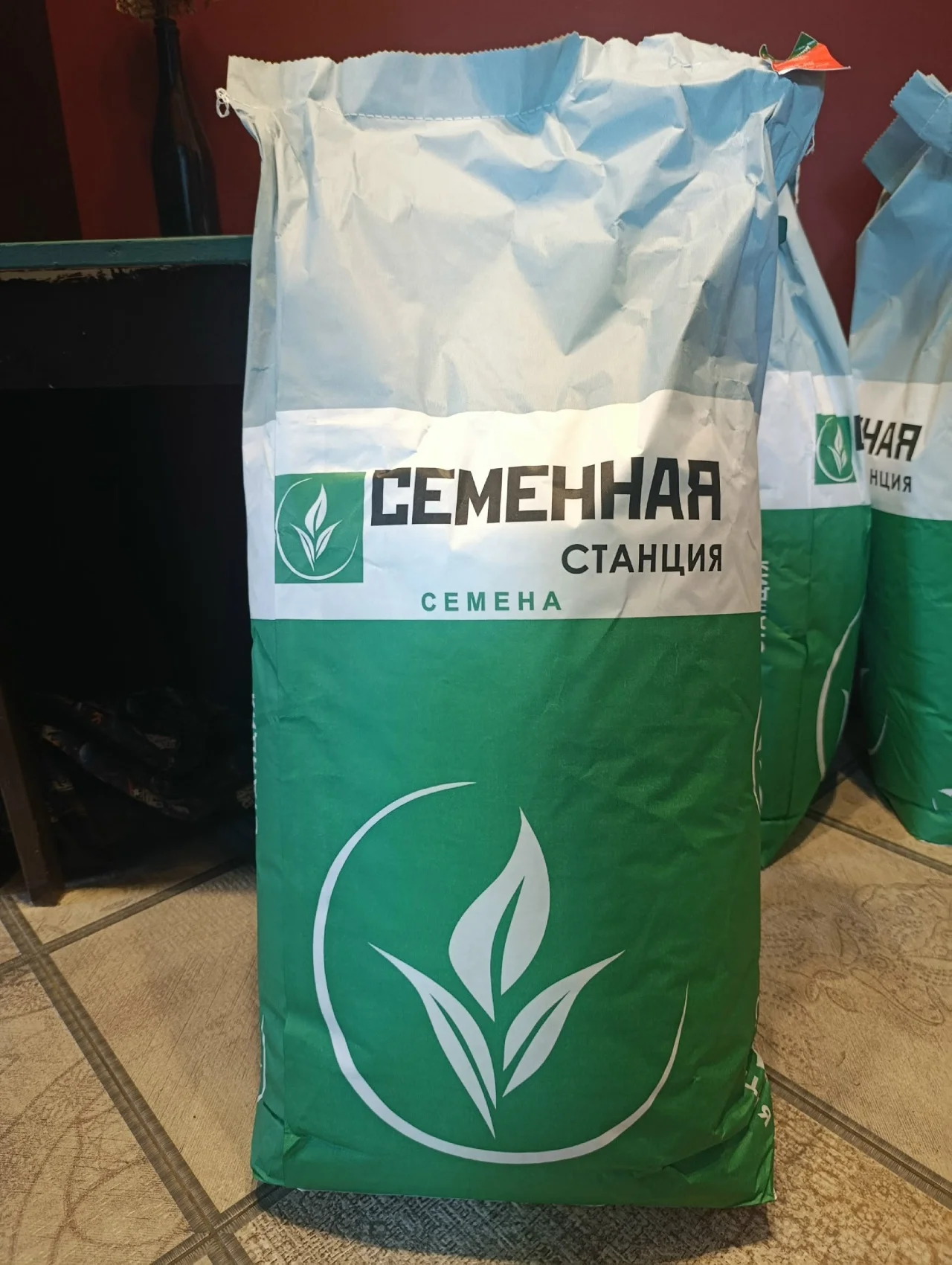 Семена газонной травы Спортивный газон - изображение 1