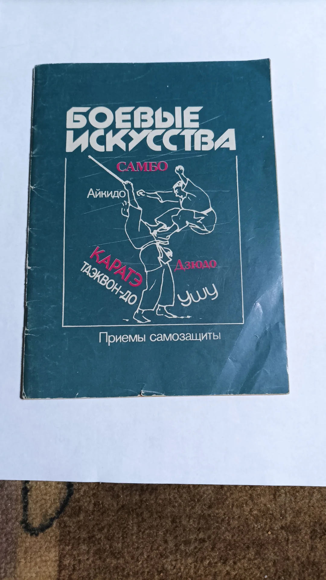 Боевые искусства - изображение 1