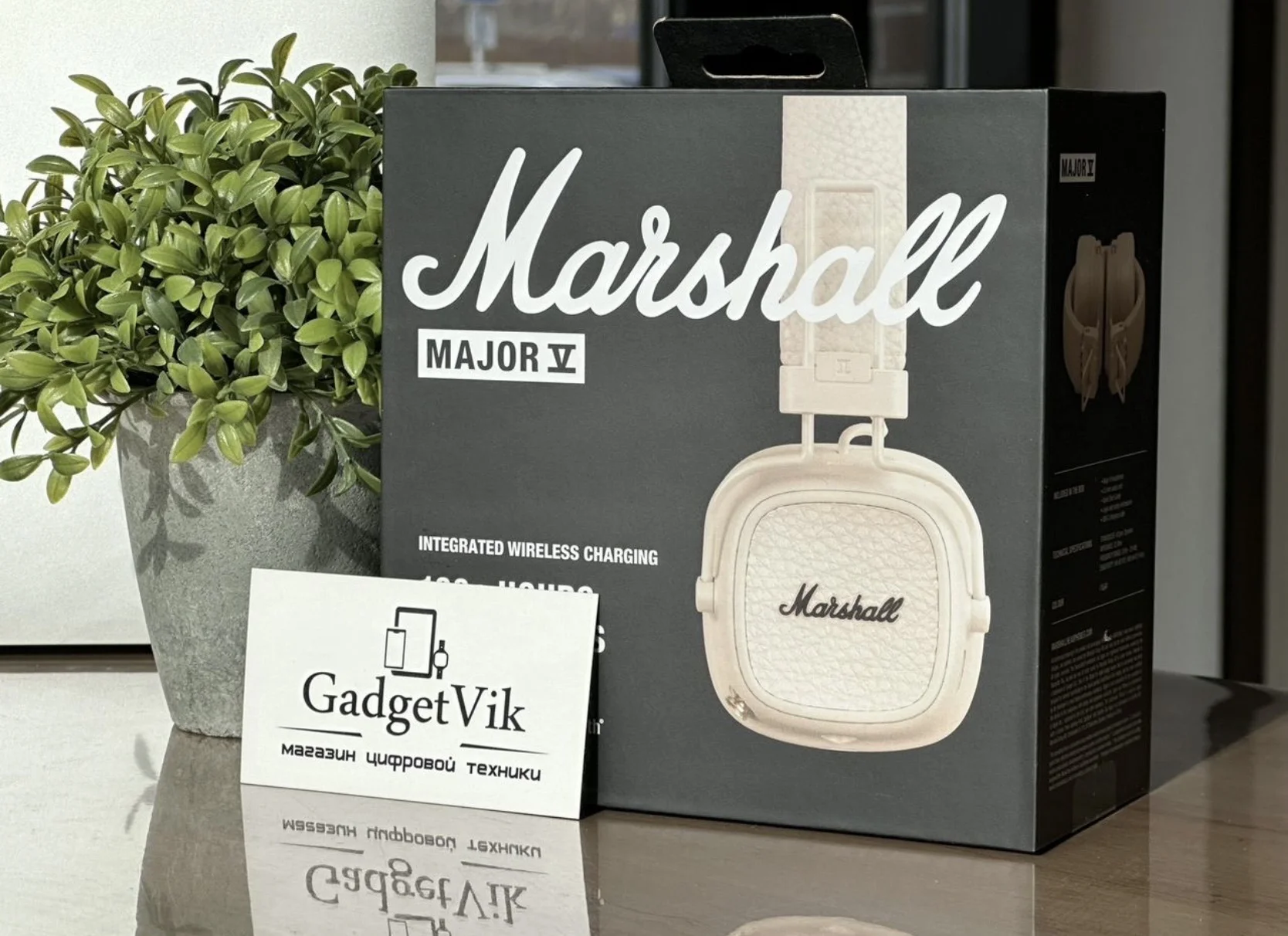 Marshall Major 5 Cream - изображение 1
