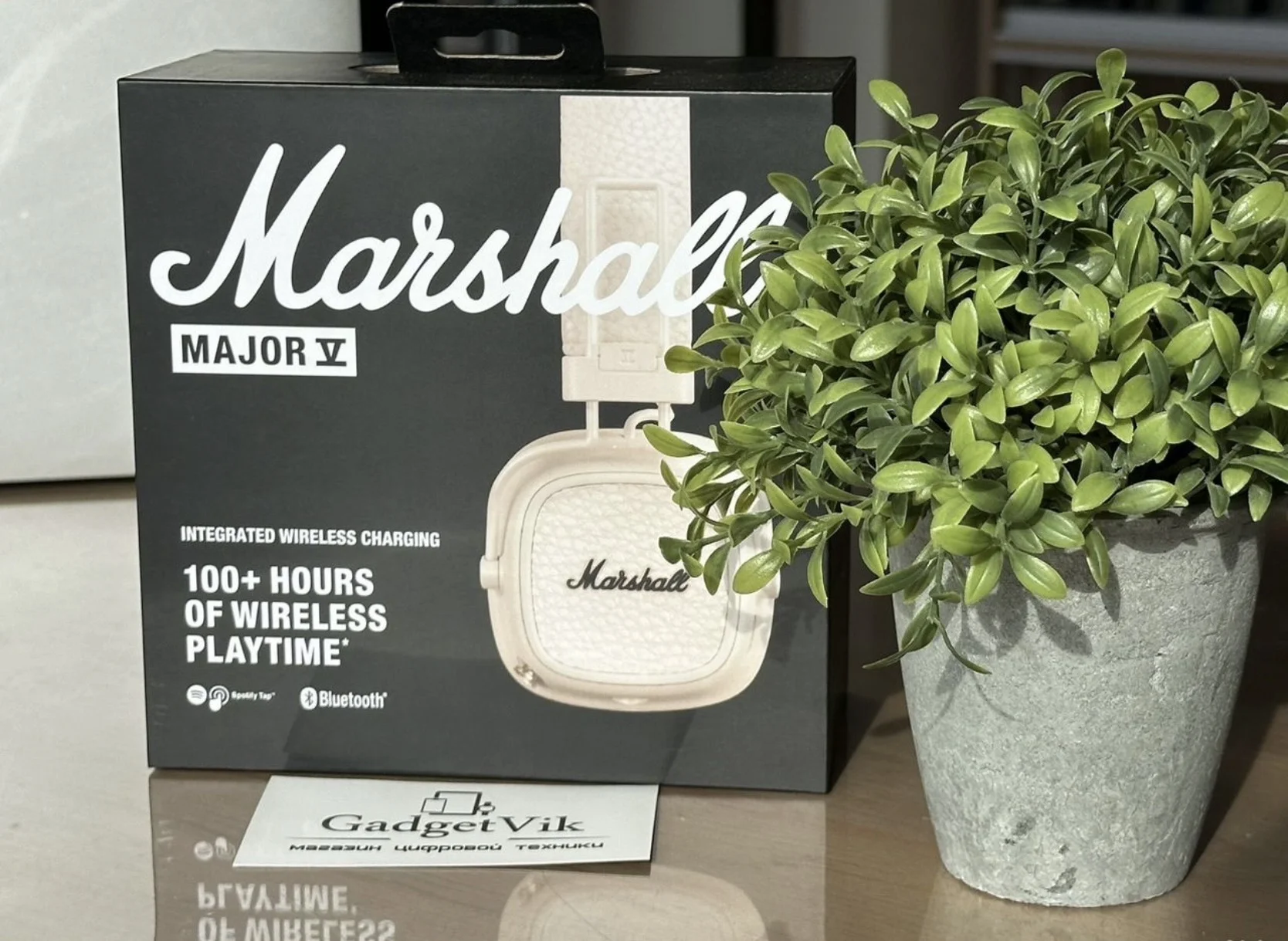 Marshall Major 5 Cream - миниатюра 3