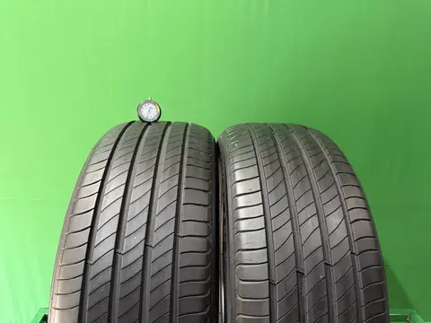 255/45 R20 дюймов Michelin E-Primacy летние