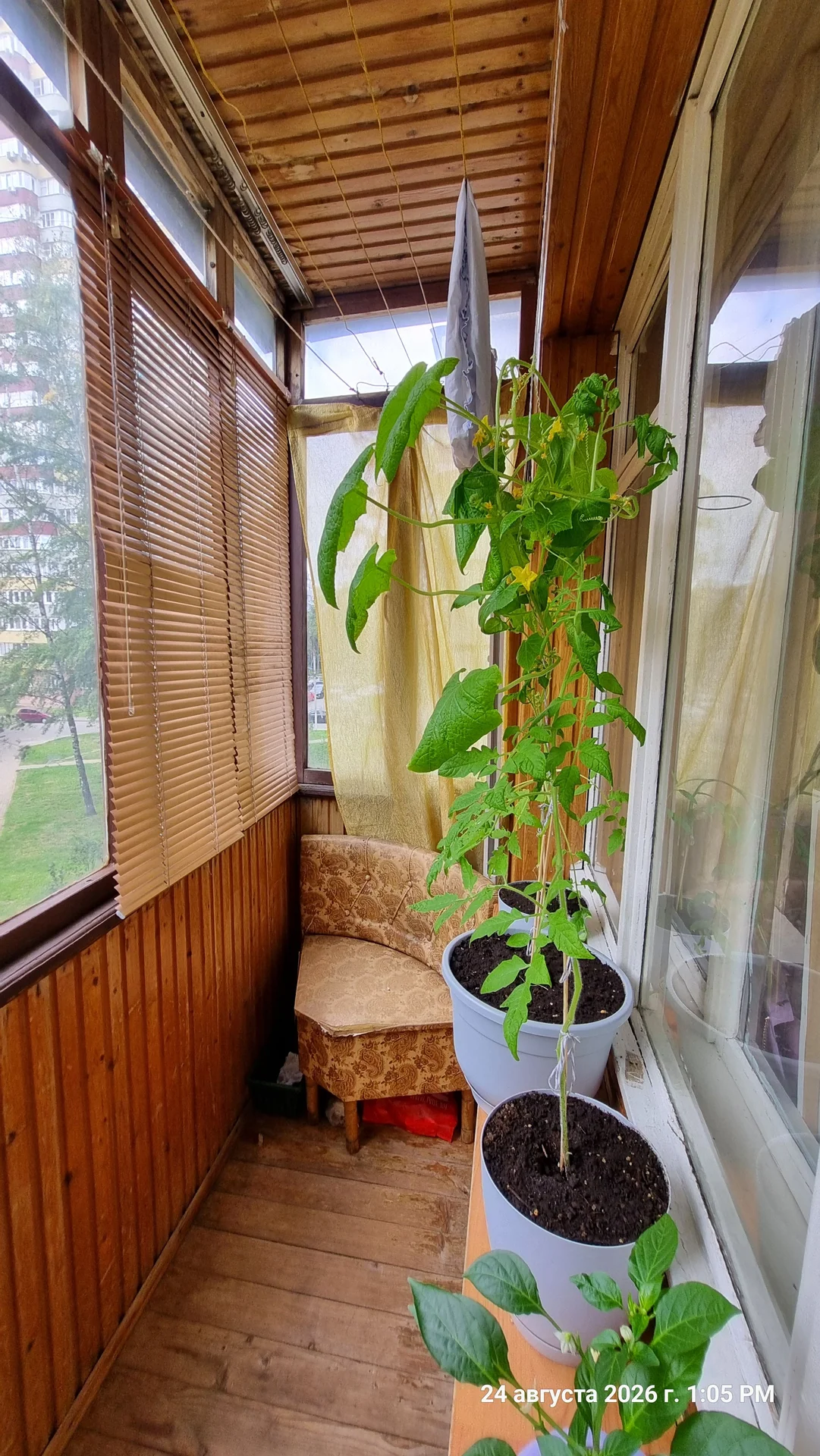 Сдам комнату - миниатюра 6