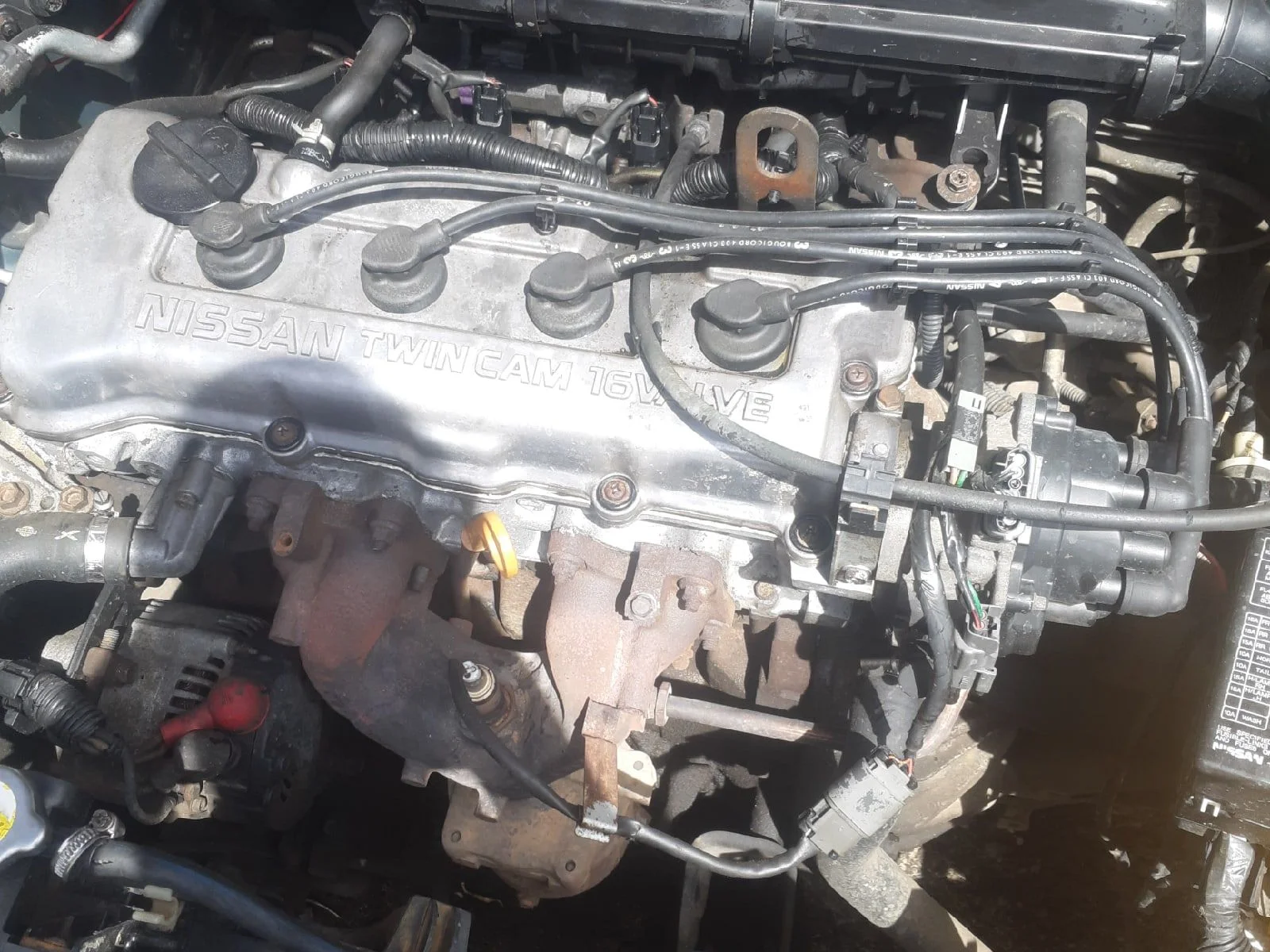В разборе nissan primera p11 рест дорест - миниатюра 4
