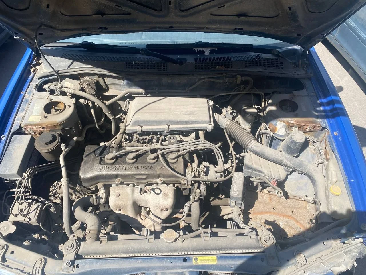 В разборе nissan primera p11 рест дорест - миниатюра 5
