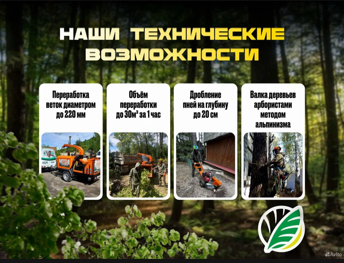 Спил деревьев любой сложности - миниатюра 2