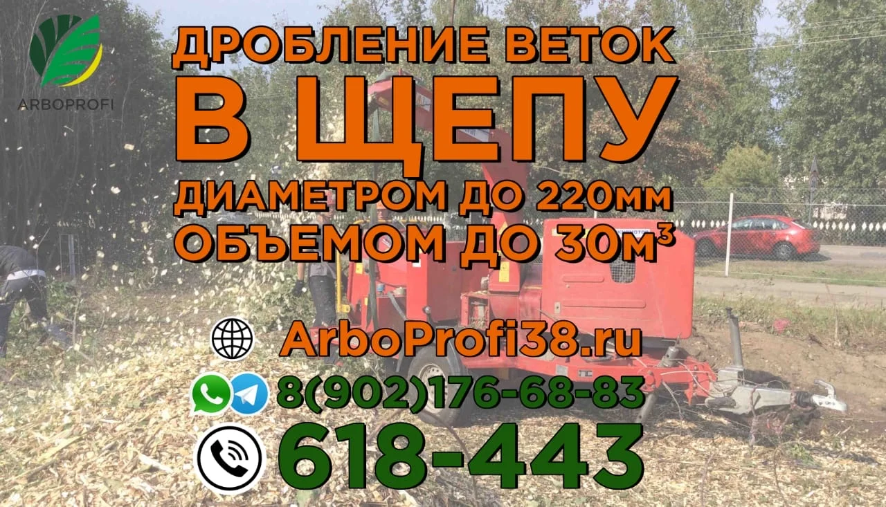 Переработка веток в щепу диаметром до 220мм. - миниатюра 3