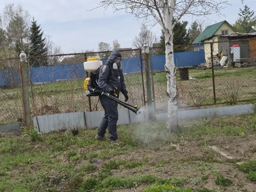 Дезинфекция уничтожение тараканов клопов клещей - миниатюра 4