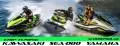 Компьютерная диагностика гидроциклов Yamaha Kawasaki Sea-Doo по 2025г - миниатюра 9