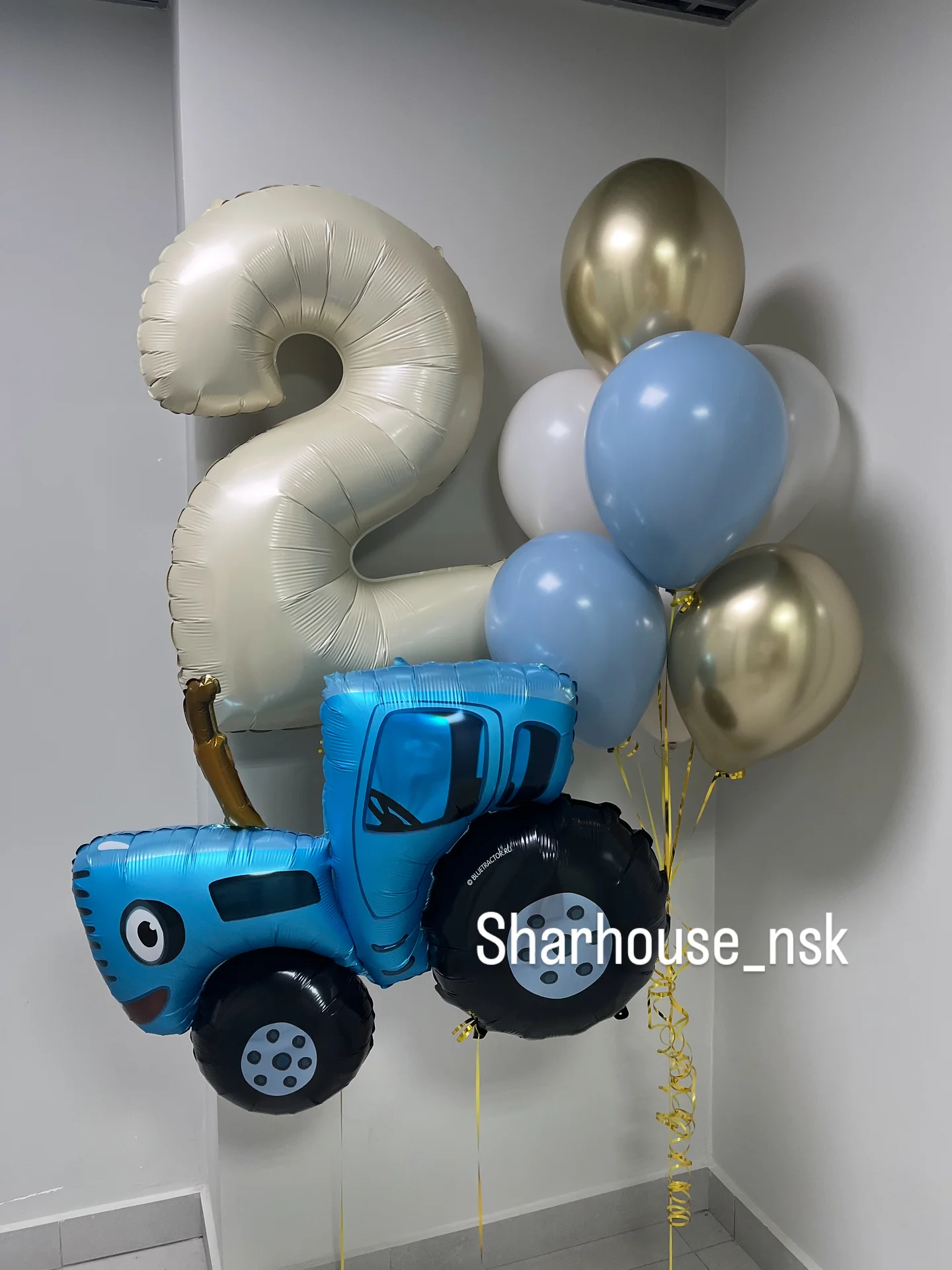 Воздушные гелиевые шары 🎈 - миниатюра 15