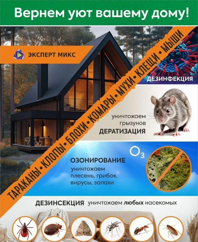 Уничтожение тараканов клопов - миниатюра 2