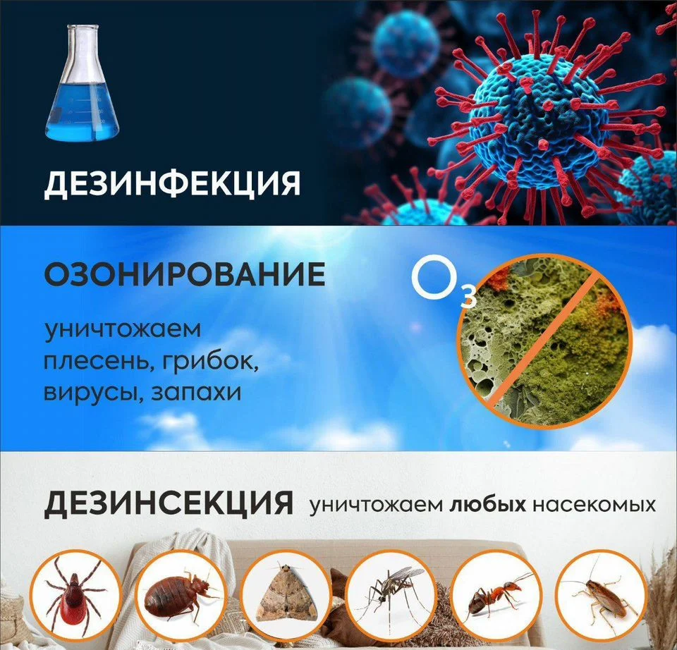 Уничтожение тараканов клопов - миниатюра 4
