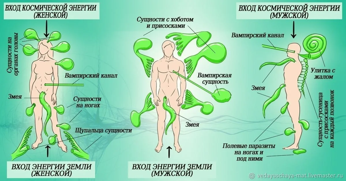 Глубокая энергетическая чистка + сборка потерянных Аспектов Души - миниатюра 2