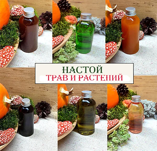 Настои трав и растений - изображение 1