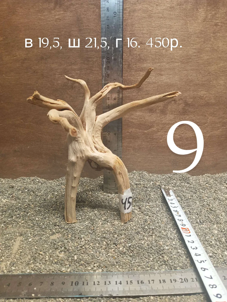коряги для аквариума - миниатюра 23