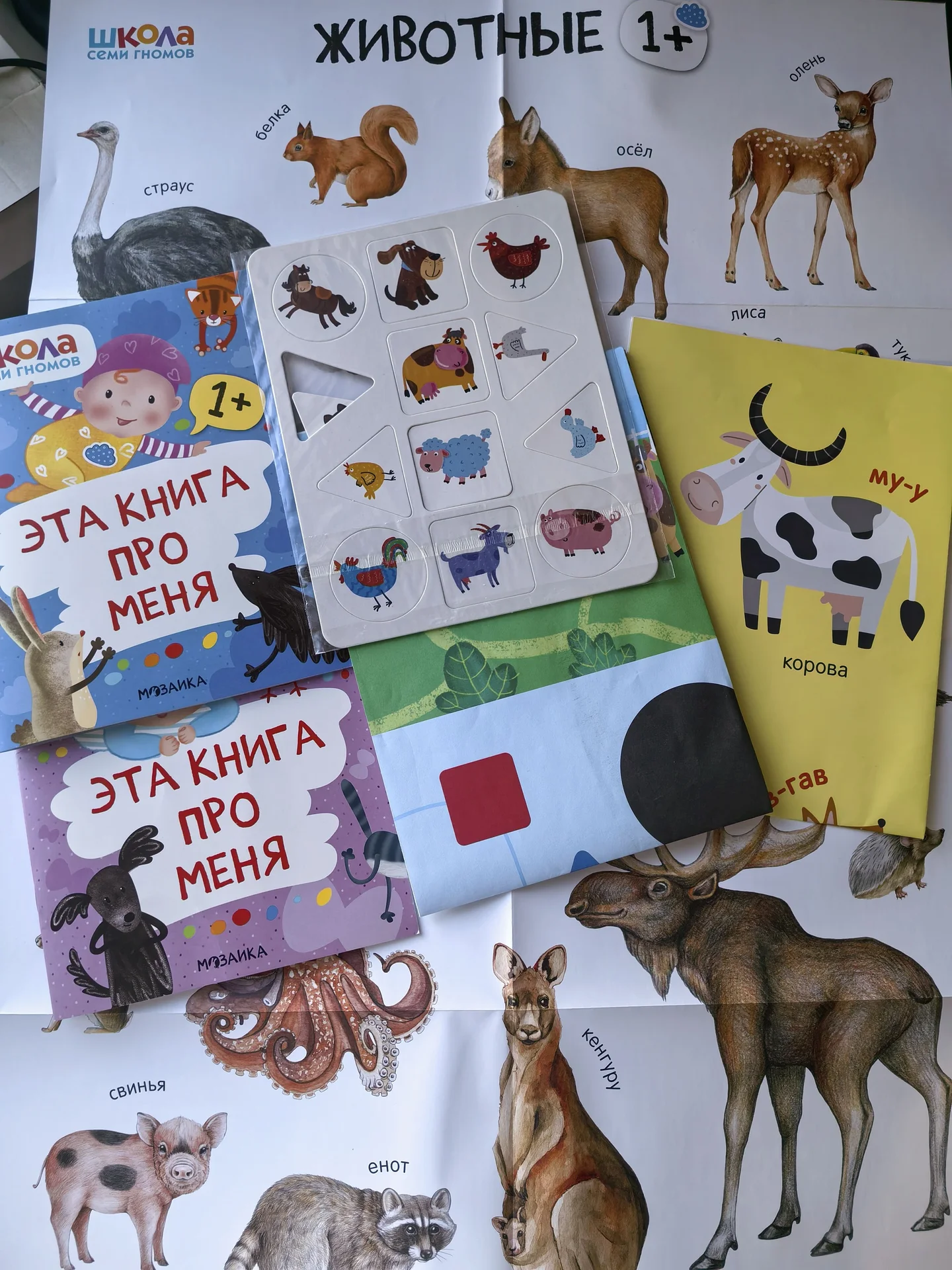 Школа семи гномов 0+ 11 книг / 1+ 5 книг - миниатюра 2