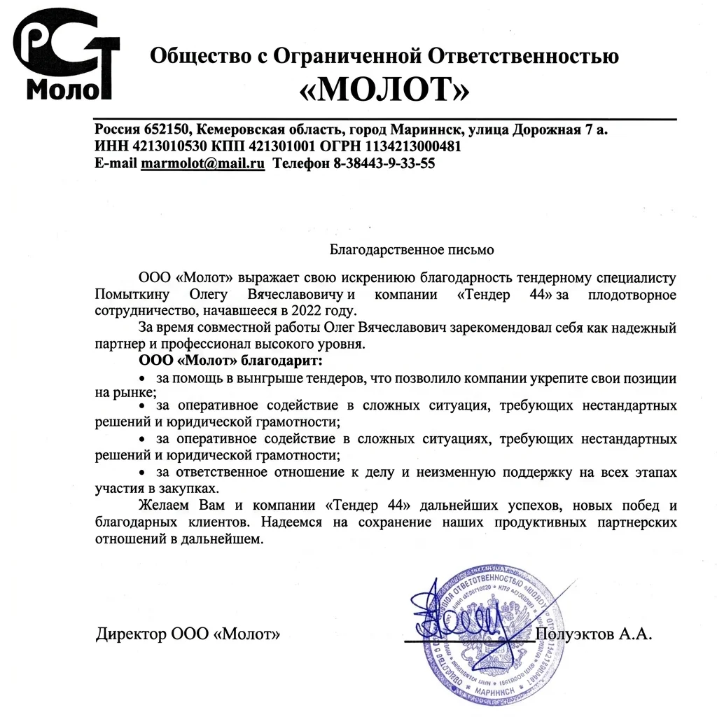 Тендерное сопровождение - миниатюра 3