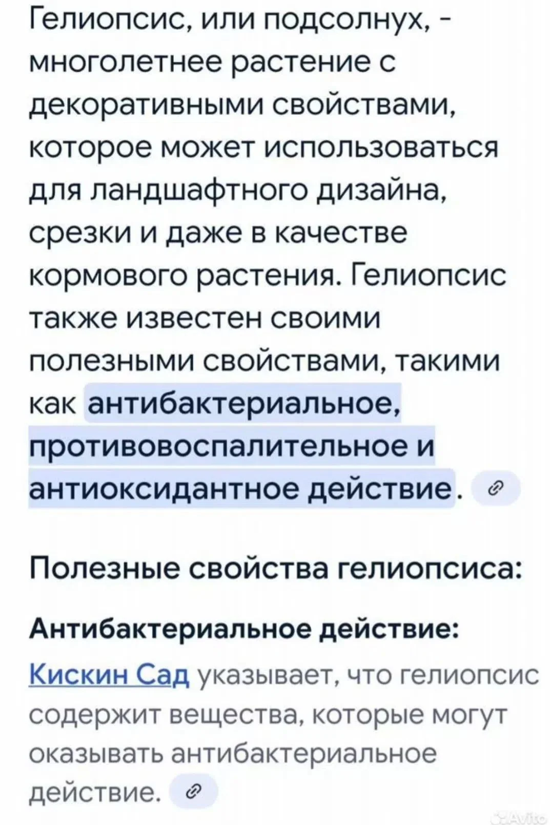 Гелиопсис - миниатюра 5