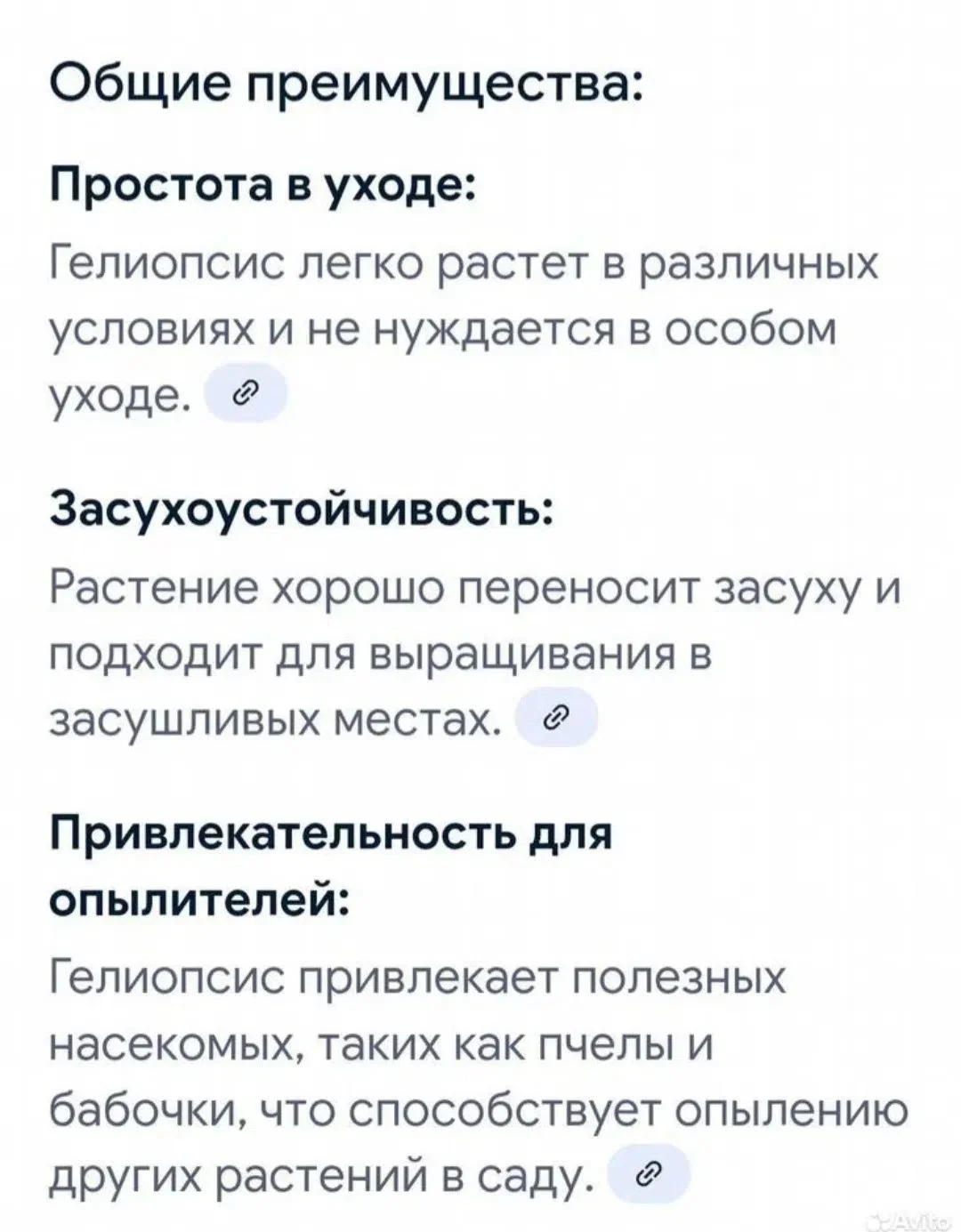 Гелиопсис - миниатюра 7