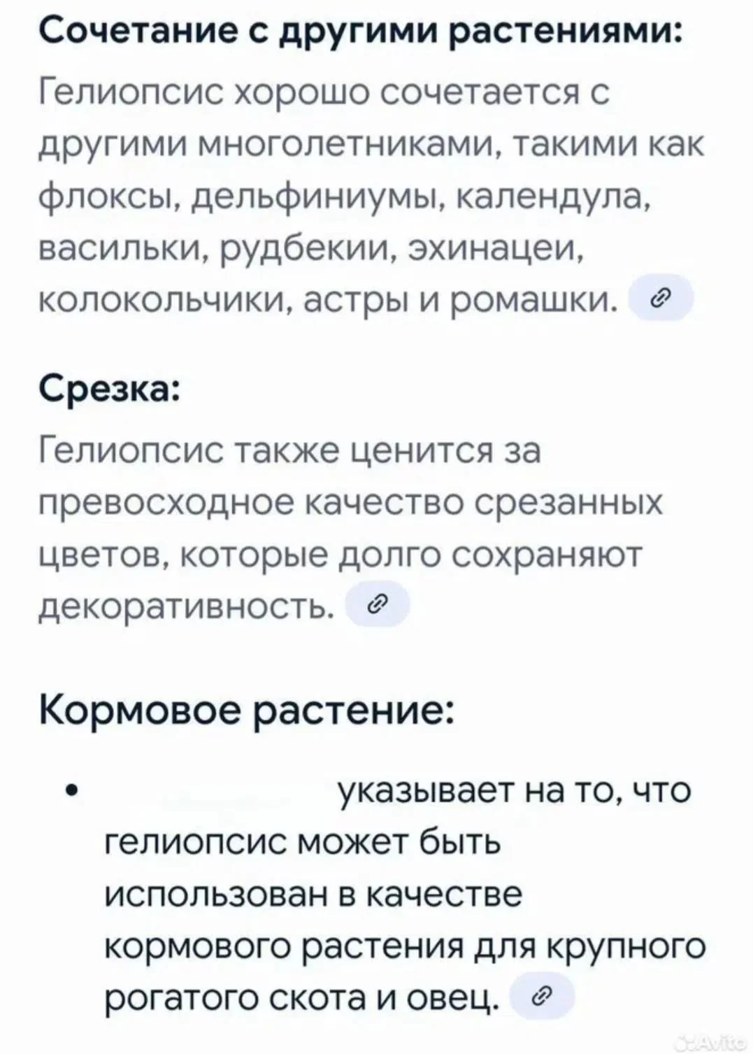 Гелиопсис - миниатюра 8