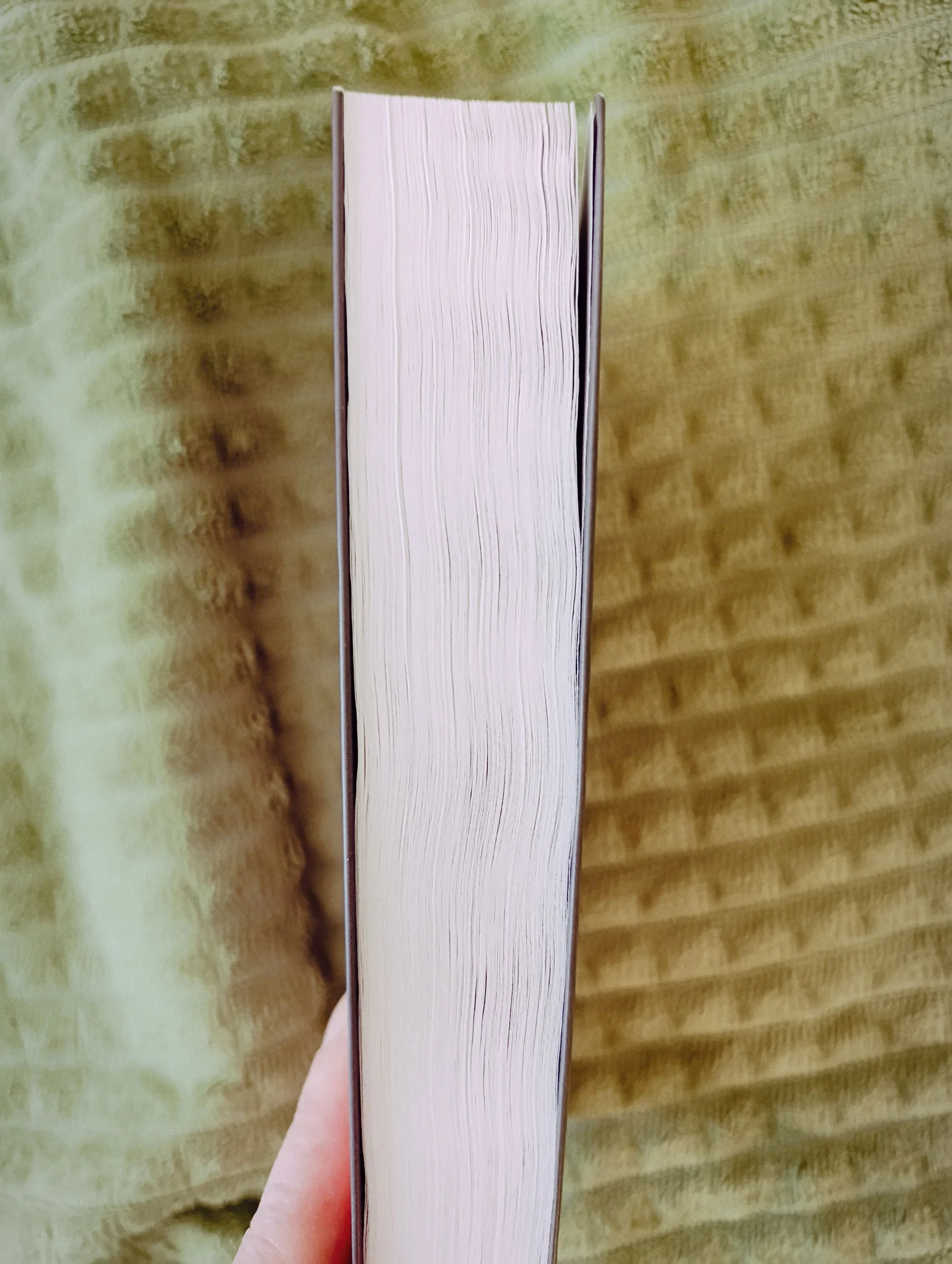 Книга Эпоха невинности Эдит Уортон - миниатюра 5
