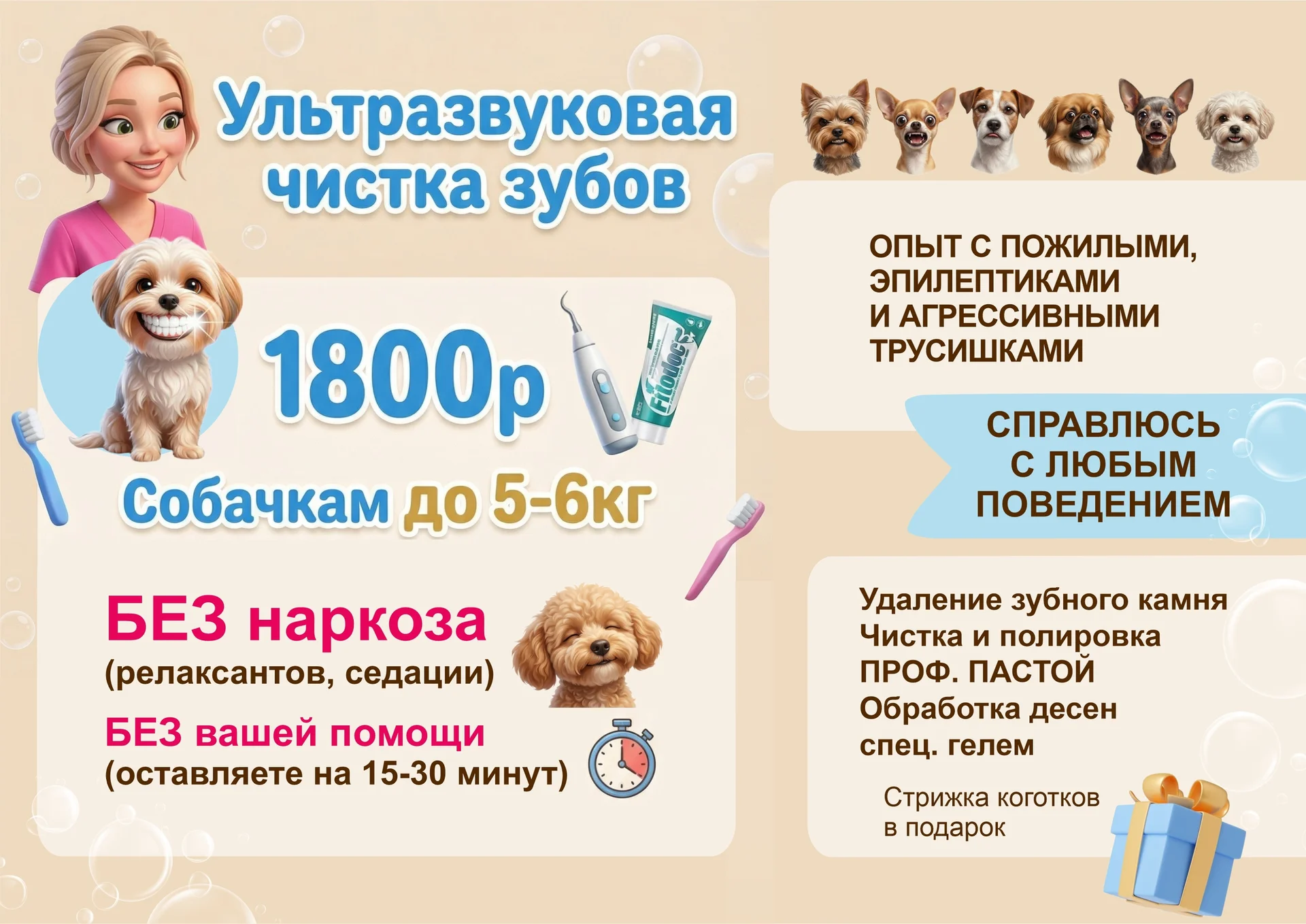 ультразвуковая чистка зубов собакам мелких пород - миниатюра 2