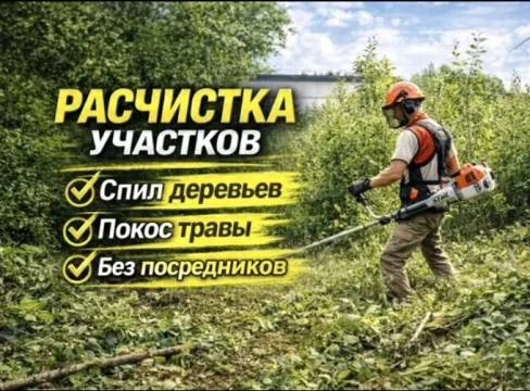 Уборка территории/Скос травы/спил деревьев - миниатюра 3