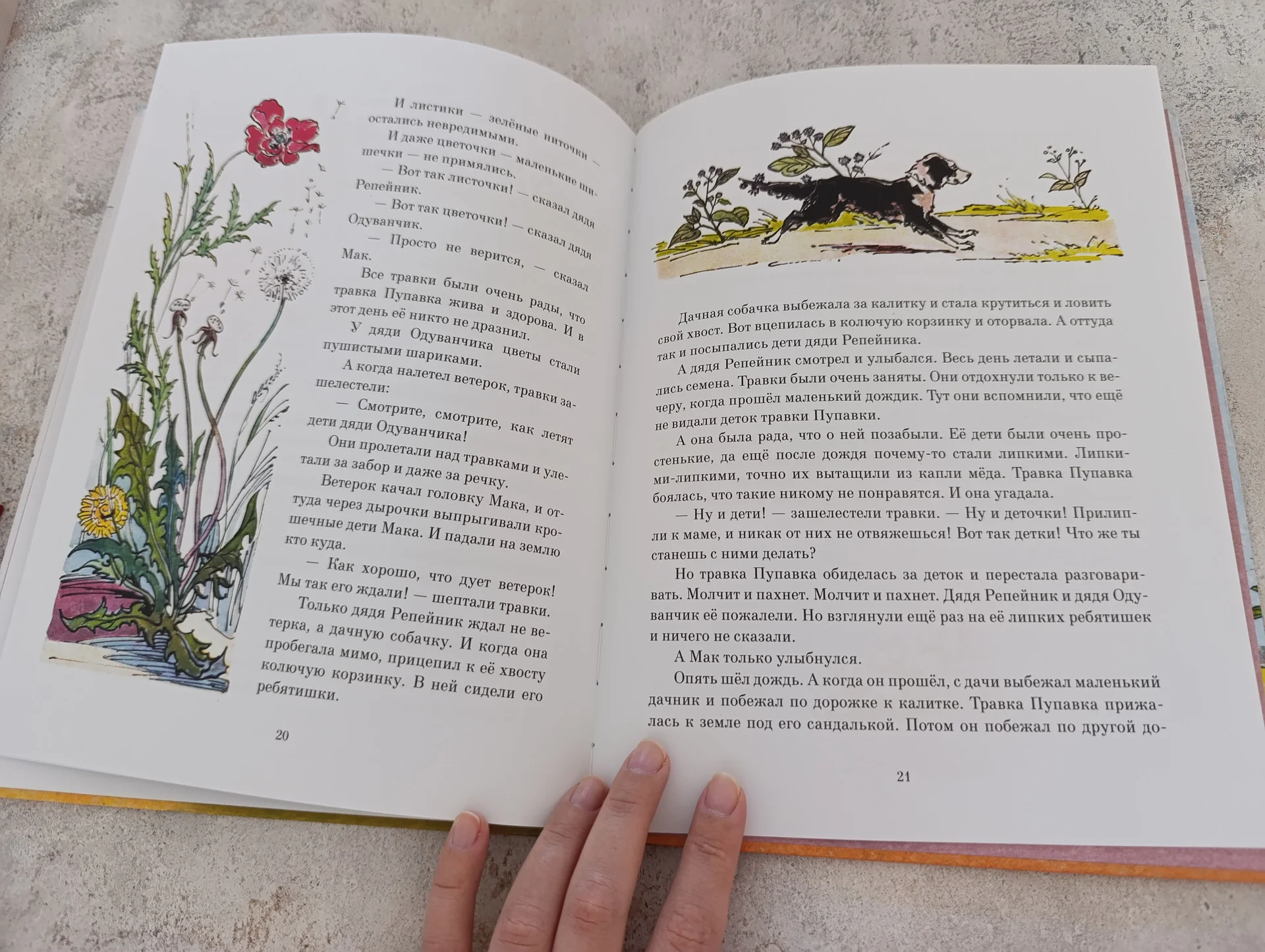 Нина Павлова — «Жёлтый, белый, лиловый» - миниатюра 4
