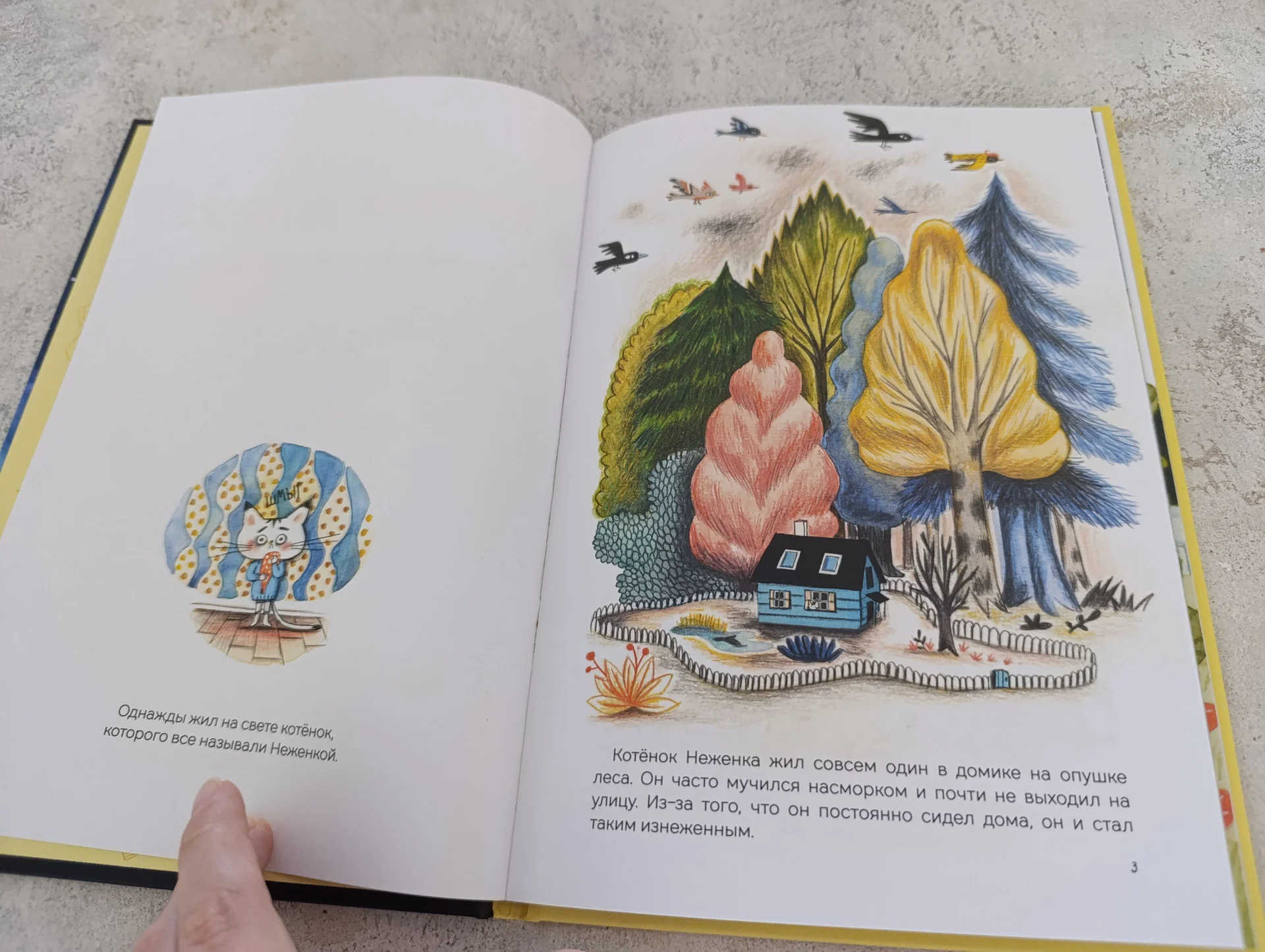 Котёнок Неженка Гаэль Дюазэ Редкая птица книга - миниатюра 3