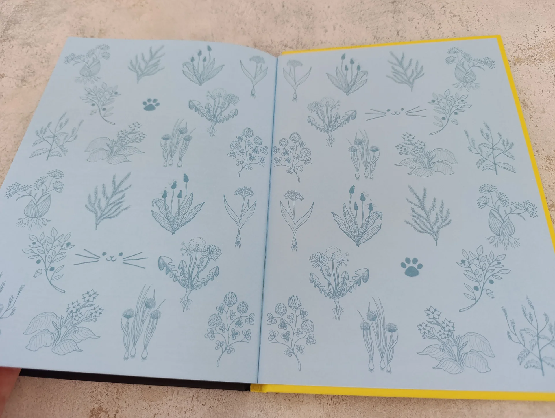 Котёнок Неженка Гаэль Дюазэ Редкая птица книга - миниатюра 6
