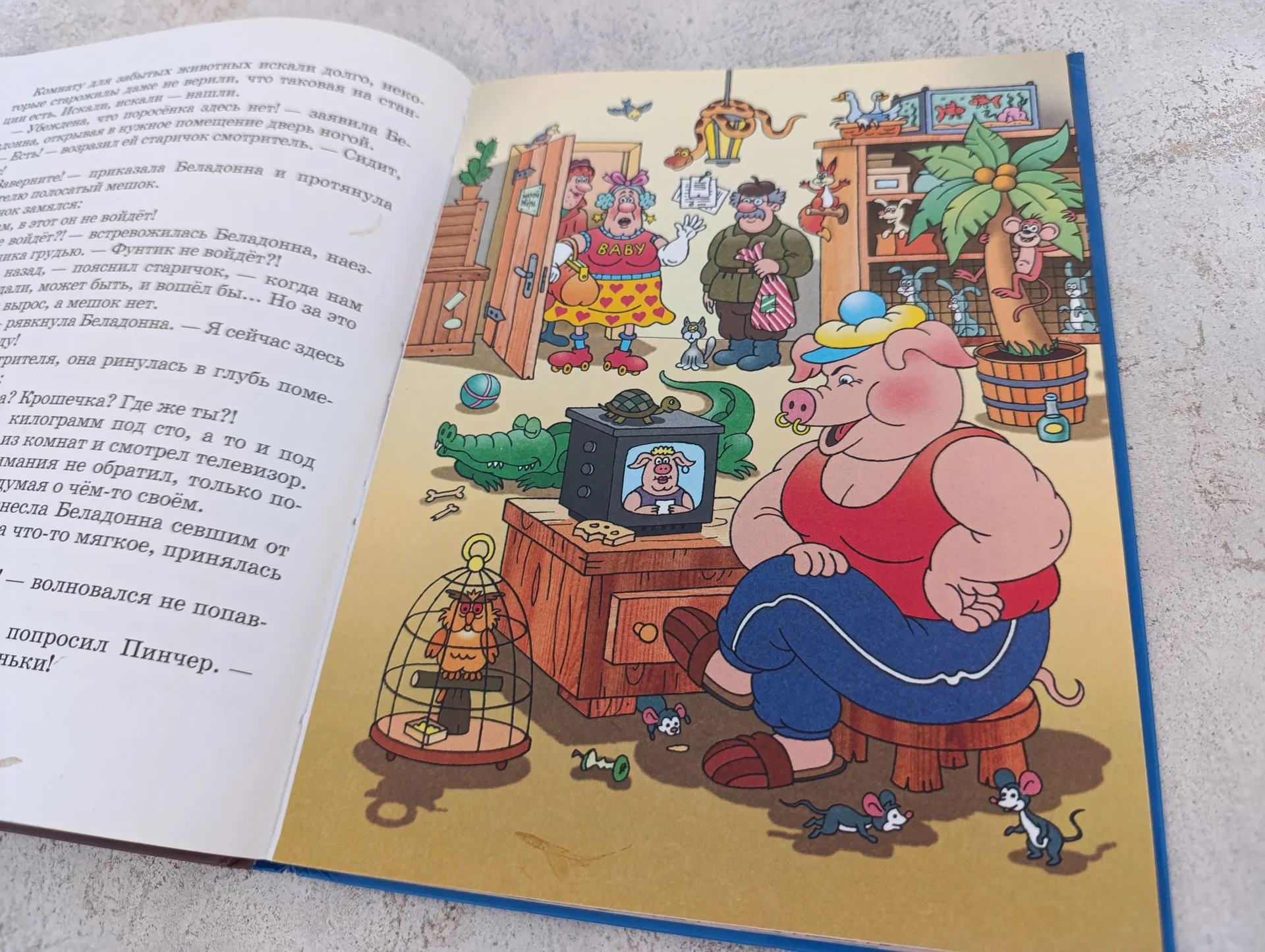 Книга Фунтик и пират В. Шульжик 2005 Дрофа - миниатюра 6
