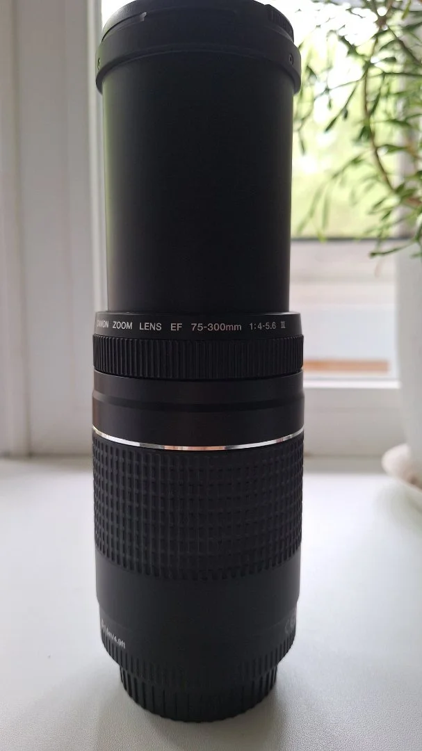 Объектив Canon EF-S 18-55 Kit - миниатюра 2