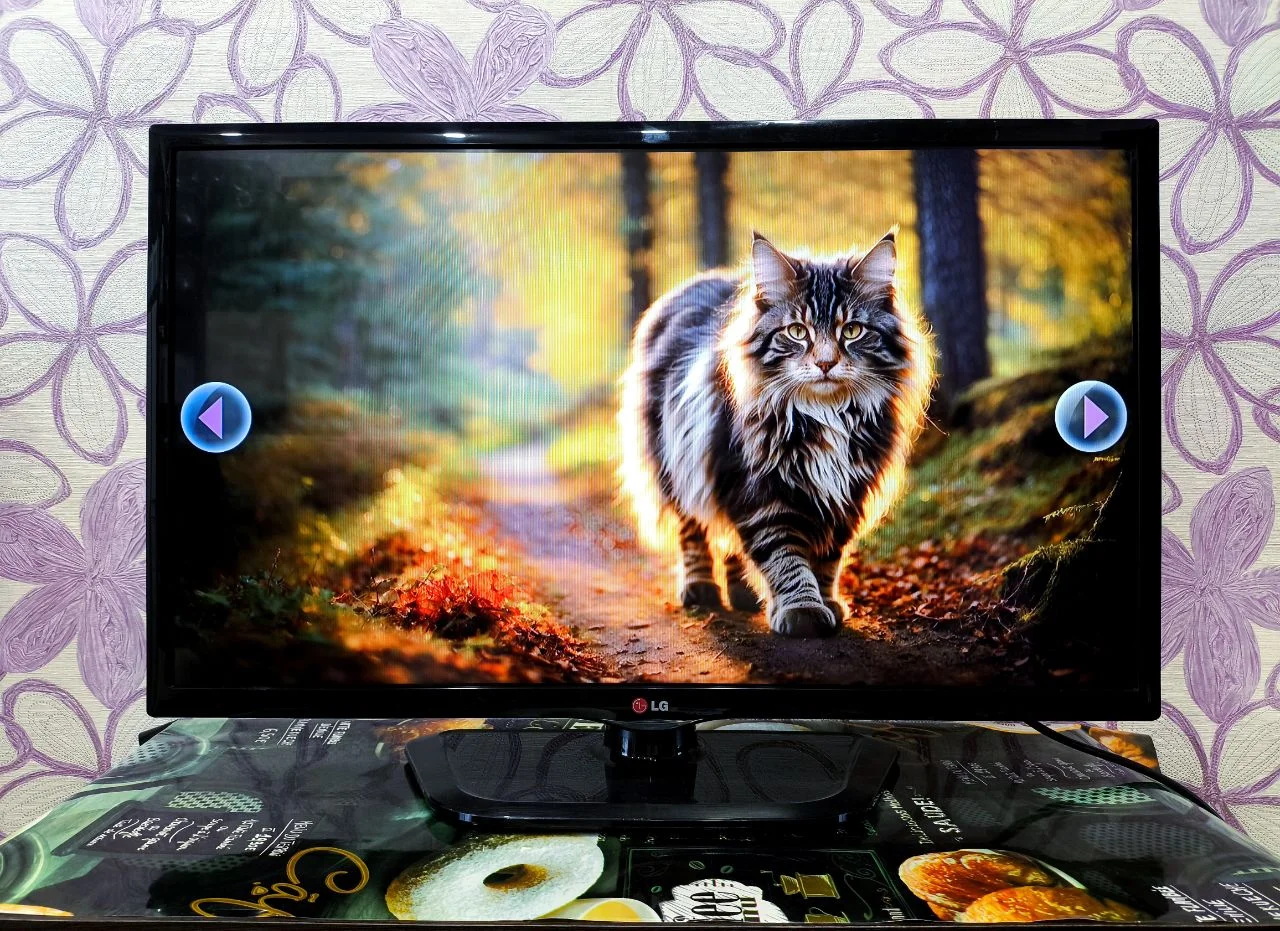 Телевизор LG 32" 81см - миниатюра 5
