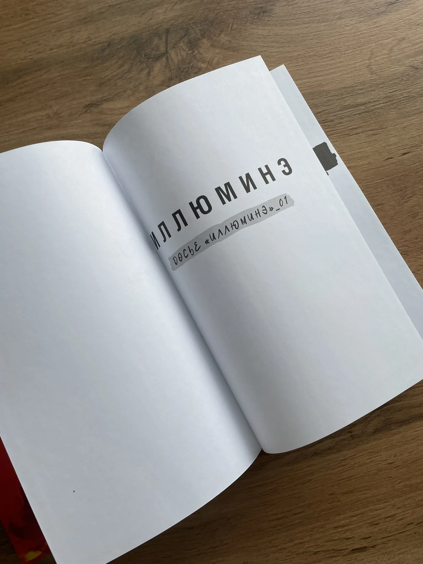 Книга Эми Кауфман и Джея Кристофф Иллюминэ 1 - миниатюра 4