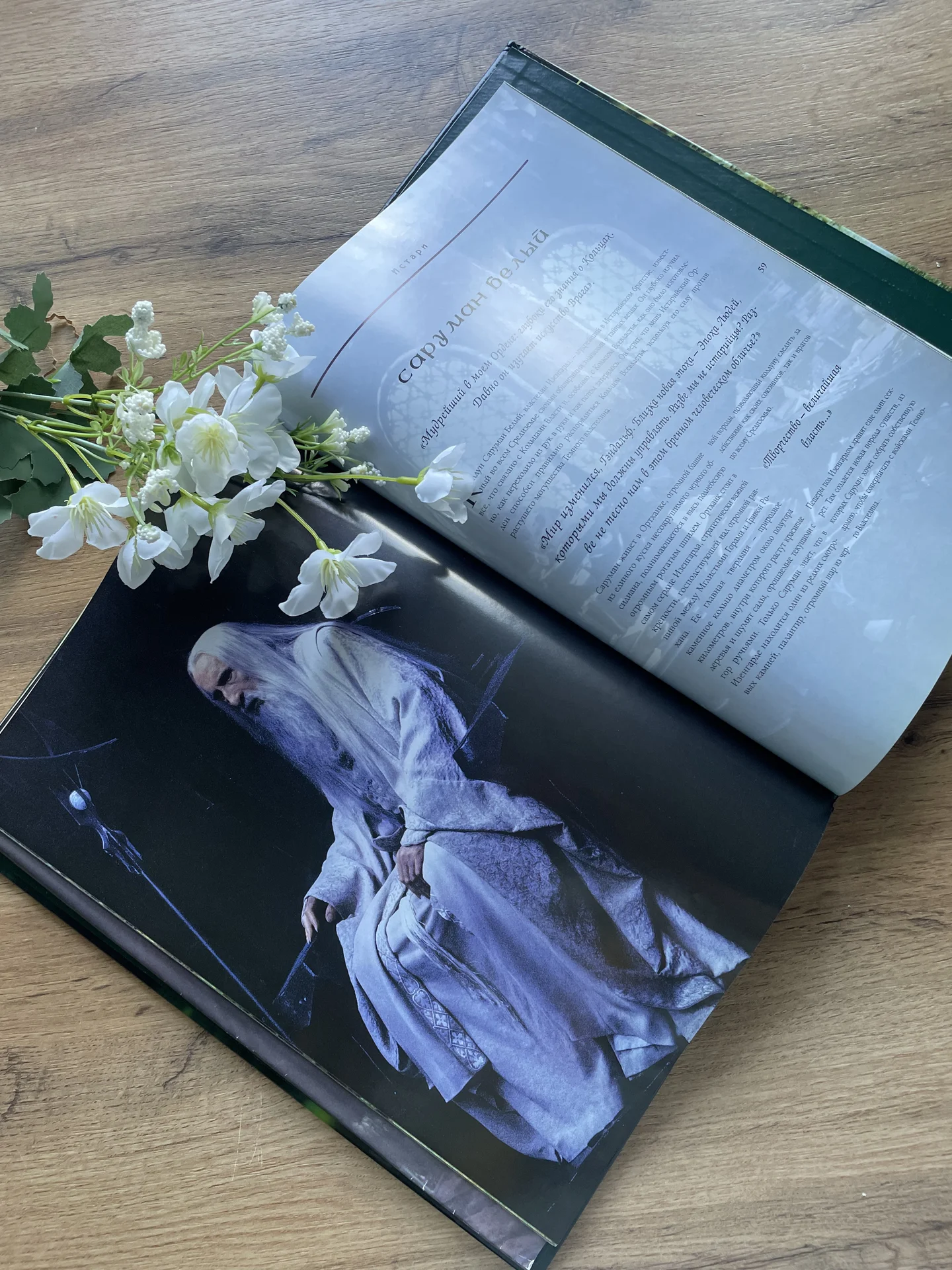 Властелин колец Джуд Фишер книга-альбом - миниатюра 8