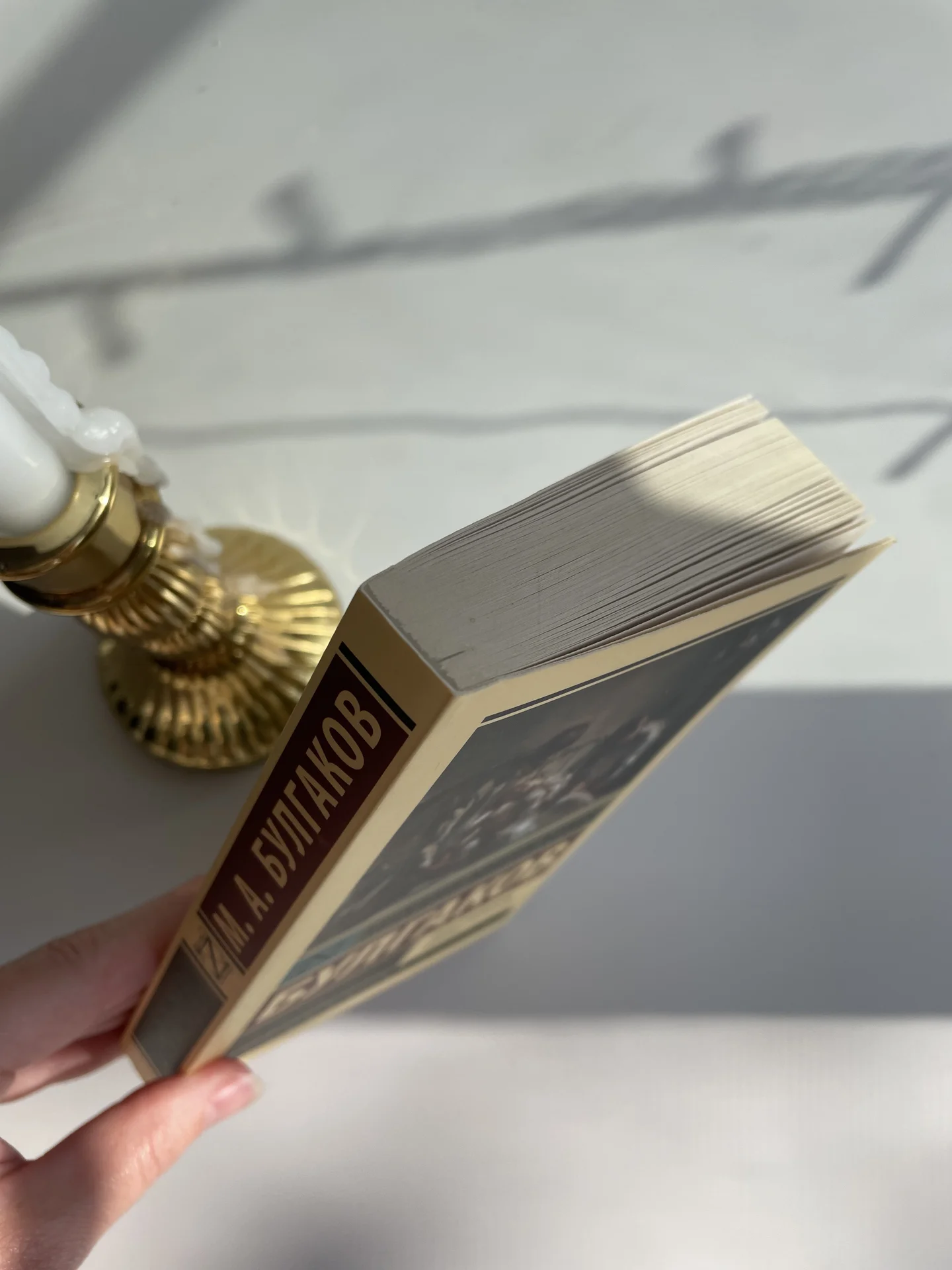 Книга Михаил Афанасьевич Булгаков «Морфий» - миниатюра 9