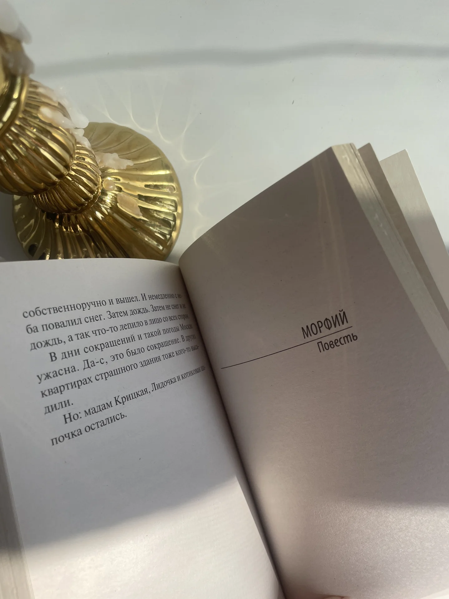 Книга Михаил Афанасьевич Булгаков «Морфий» - миниатюра 11